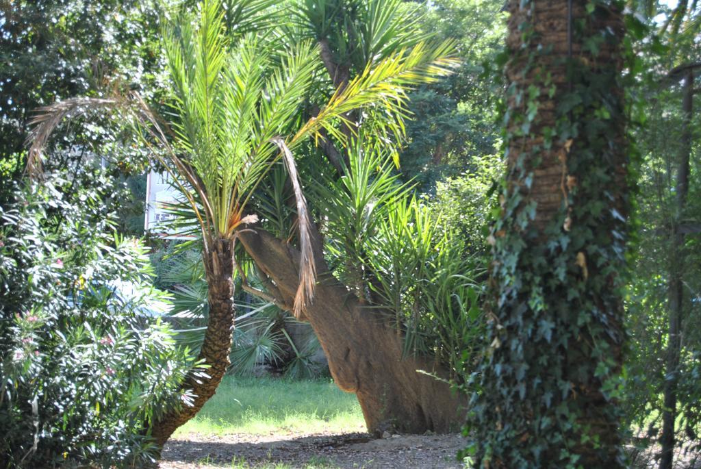 Villa Fiocchi Caltanissetta Bagian luar foto